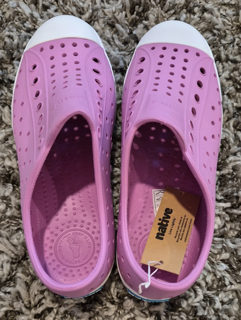 Native Jefferson Shoes In Winterberry Pink
